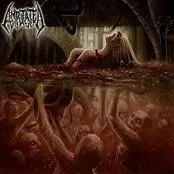 Album artwork