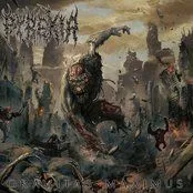 Album artwork