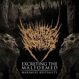 Album artwork