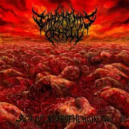 Album artwork
