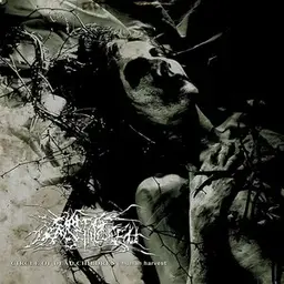 Album artwork