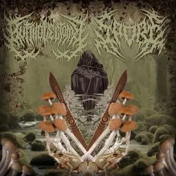 Album artwork