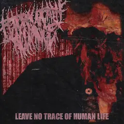 Album artwork