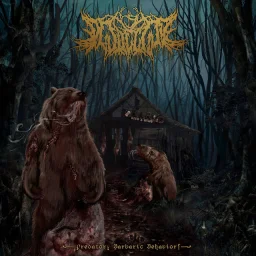 Album artwork