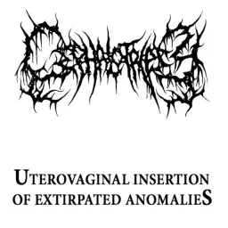 Album artwork