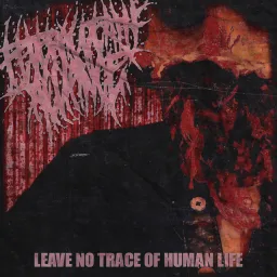 Album artwork