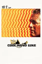 → IMDB Movie poster