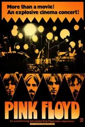 → IMDB Movie poster