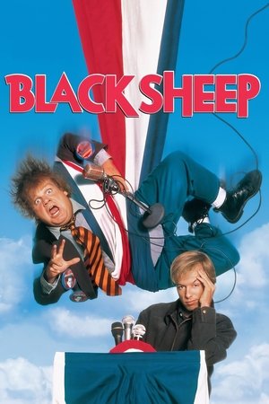 Black Sheep poster Movie poster