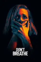 → IMDB Movie poster