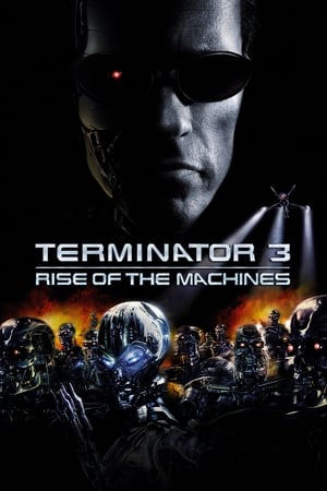 Terminator 3: Rise of the Machines poster Movie poster
