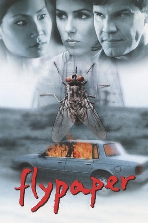 Flypaper poster Movie poster