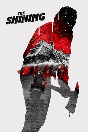 → IMDB Movie poster